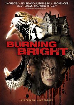 Fényes égő (2010) online film