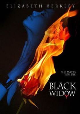 A fekete özvegy (2008) online film