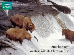 A földkerekség legnagyobb állatparádéja (2000) online film
