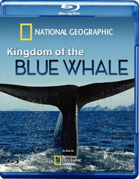 A kék bálna birodalma (2009) online film