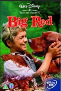 A nagy vörös kutya (1962) online film