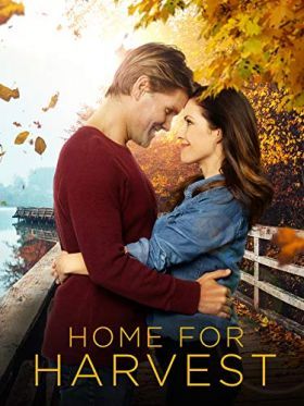 A szerelem otthon lakozik (2019) online film