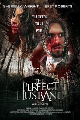 A tökéletes férj (2014) online film