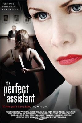 A tökéletes titkárnő (2008) online film