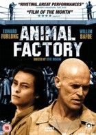 Állati kiképzés (2000) online film