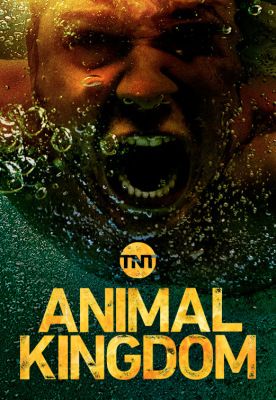 Animal Kingdom 3. évad (2018) online sorozat