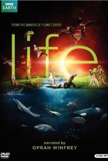 Az Élet 1. évad (2009) online sorozat