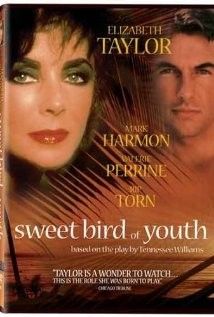Az ifjúság édes madara (1989) online film