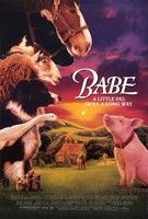 Babe (1995) online film