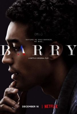 Barry (2016) online film
