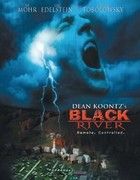 Black River - A város fogva tart (2001) online film