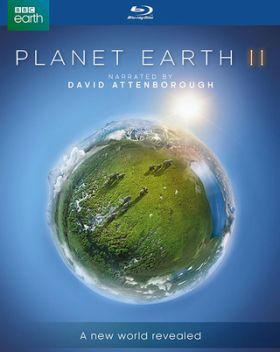 Bolygónk a Föld 2. (2016) online film