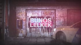 Bűnös lelkek 1. évad (2020) online sorozat