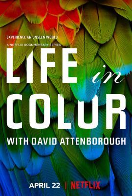 David Attenborough: Az élet színei 1. évad (2021) online sorozat