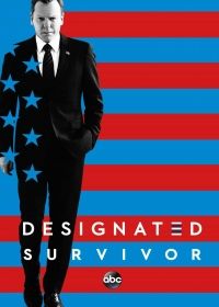 Designated Survivor 2. évad (2017) online sorozat