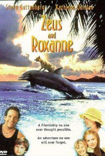 Ebadta delfin (1997) online film