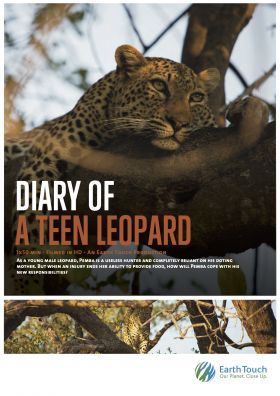 Egy tini leopárd naplója (2020) online film