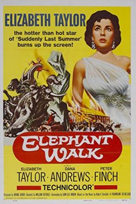 Elefántjárat (1954) online film