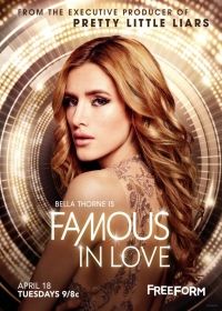 Famous in Love 1. évad (2017) online sorozat