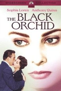 Az éjszaka kapui (Fekete orchidea) (1958) online film