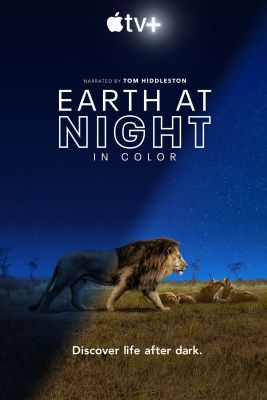 Földünk éjjel színesben 1. évad (2020) online sorozat