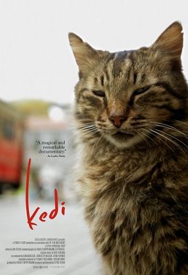 Kedi: Isztambul macskái (2016) online film