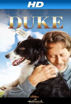 Kutyám Duke (2012) online film