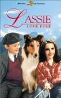 Lassie hazatér (1943) online film