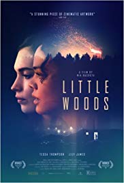 Little Woods (2018) online film