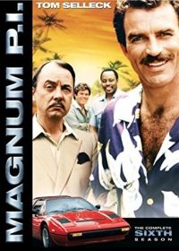 Magnum 6. évad (1985) online sorozat