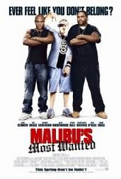 Malibui fehér csóka (2006) online film