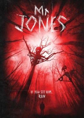 Mr. Jones (2013) online film