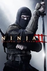 Ninja 2. - A harcos bosszúja (2013) online film