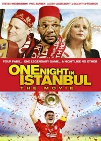 One Night in Istanbul (2014) online film