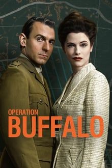 Operation Buffalo 1. évad (2020) online sorozat