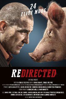 Redirected (2014) online film