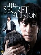 Secret Reunion (2010) online film