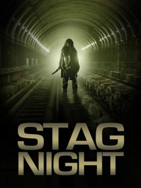 Stag Night (2008) online film