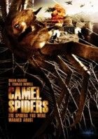 Tevepókok - Camel spiders (2012) online film