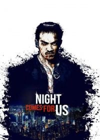 The Night Comes for Us (2018) online film