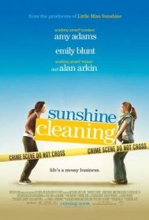 Tiszta napfény (2008) online film