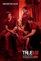 True Blood - Inni és élni hagyni 7. évad (2014) online sorozat