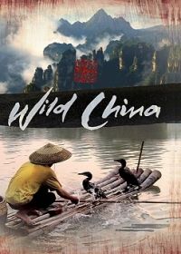 Vad Kína 1. évad (2008) online sorozat