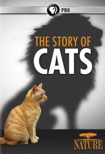 Vadóc házi kedvencünk, a macska 1. évad (2016) online sorozat