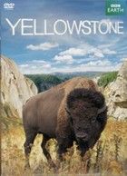 Yellowstone (2011) online film