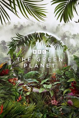Zöld bolygó 1. évad (2022) online sorozat